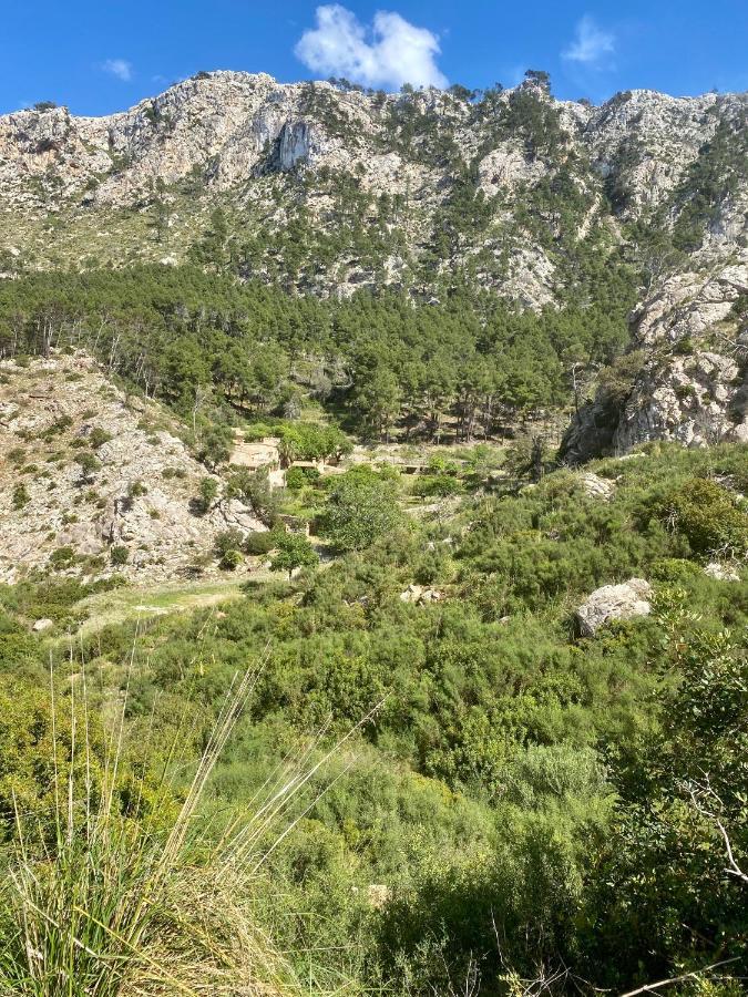 Finca Ses Fontanelles أندراتكس المظهر الخارجي الصورة