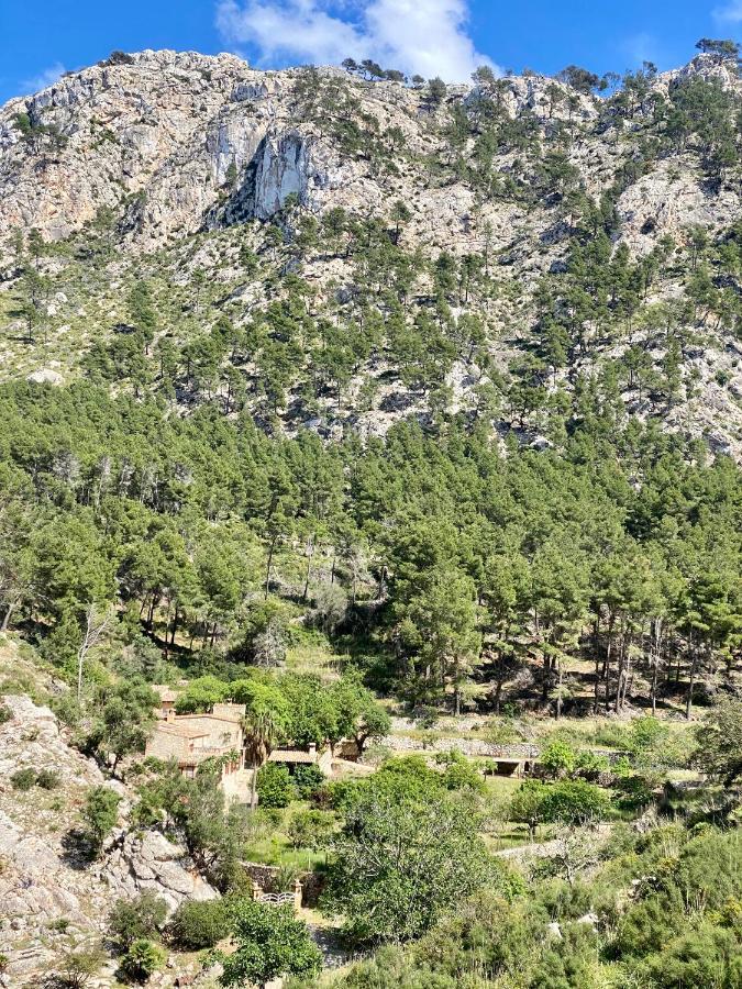 Finca Ses Fontanelles أندراتكس المظهر الخارجي الصورة
