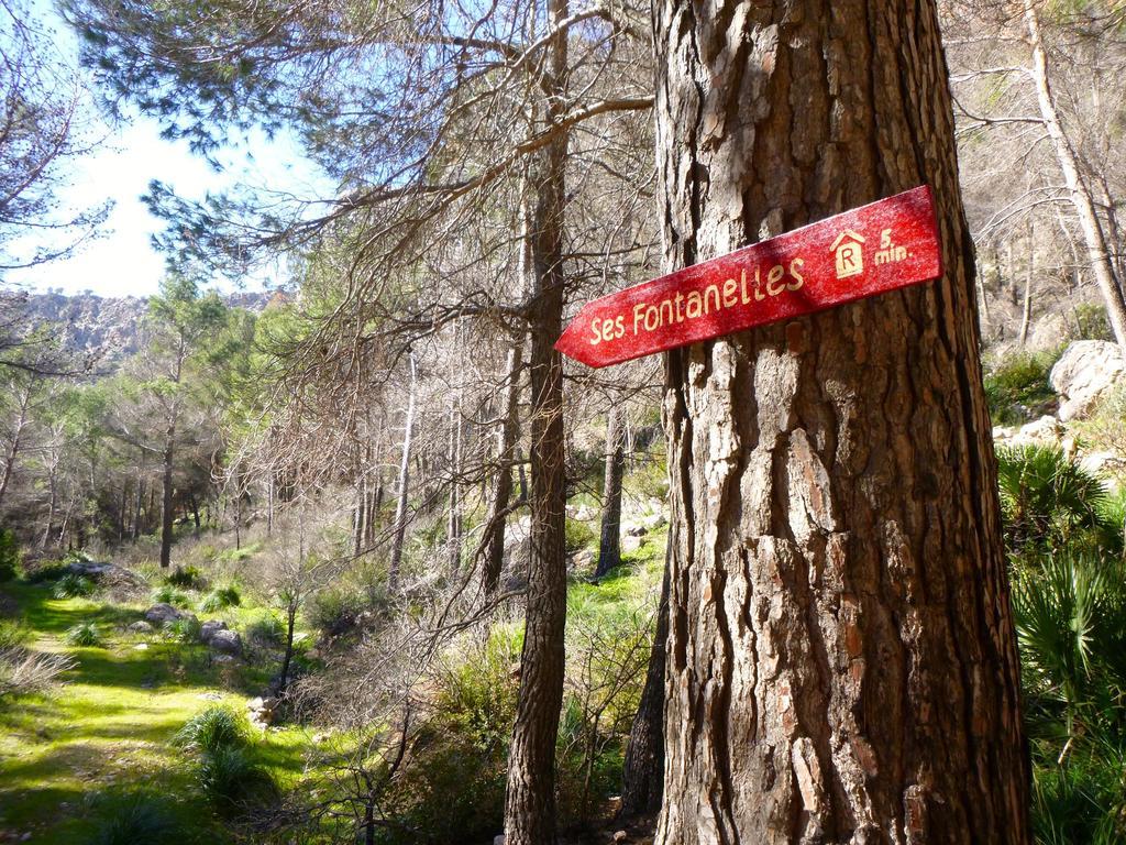 Finca Ses Fontanelles أندراتكس المظهر الخارجي الصورة