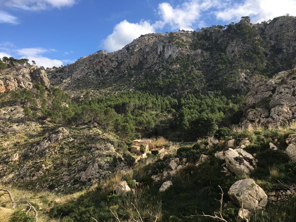 Finca Ses Fontanelles أندراتكس المظهر الخارجي الصورة