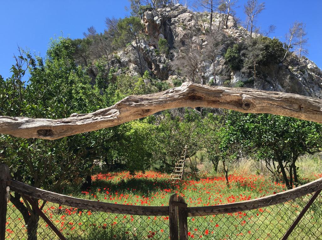 Finca Ses Fontanelles أندراتكس المظهر الخارجي الصورة